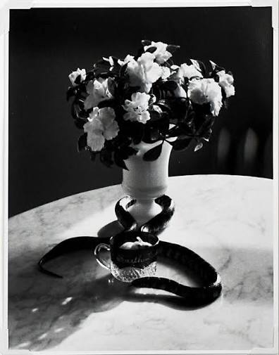 Work by André Kertész