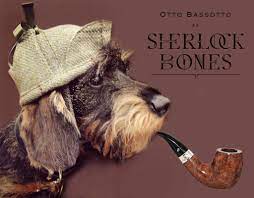 otto is on my top 5 list we ve got 4th doxie now ruwharige teckel grappige teckel leuke honden
