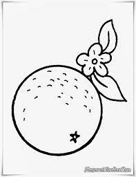 Dihalaman ini anda akan melihat gambar hitam putih jeruk yang apik! Gambar Hitam Putih Buah