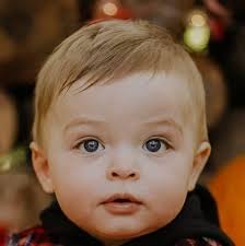 Introduction to Brown Swiss Milk Cow Group from PEI Canada