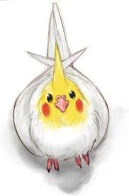 Check spelling or type a new query. Cockatiel2 By Twotenjack11 On Deviantart