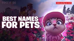 Best free fire guild names: Best Names For Pets In Free Fire