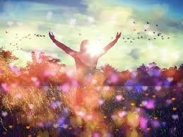 Law of attraction by michael j. Islam And The Law Of Attraction Ihsan Alexander