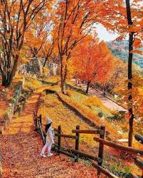 K kali ni aku nk bgtau suasana bandar iteawon.!!!! Tempat Menarik Di Seoul Yang Terkini 2021 Cocok Untuk Percutian