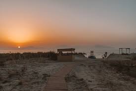 The accommodation comprises 152 cosy rooms. Casa Cook Kos Nectar Pulse