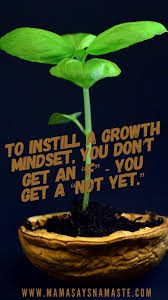 Why I Believe In Functional Education For Our Future And What That Even Is Learning Quotes Education Alternative Education Unschooling Resources