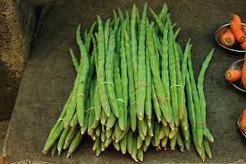 Drumsticks The Immature Seed Pods Of Moringa Oleifera Murungakkai Seed Pods Moringa Oleifera Moringa