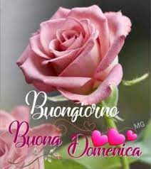 Pin Di Massimiliano Nannoni Su Buona Domenica Buona Domenica Auguri Di Buongiorno Buongiorno Bellissimo