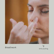 Tanja (@link.coaching) • Instagram photos and videos