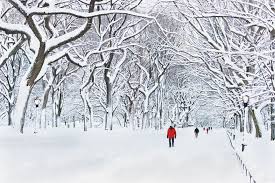 Check spelling or type a new query. 23 Beautiful Pictures Of Snow Photos Of Snow On Pinterest