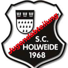 Wappen club appointed in charge until position matches ppm vfb oldenburg: Vfb Oldenburg V 1897 E V 8 029 Photos Sports Club Maastrichter Strasse 35 26123 Oldenburg Germany