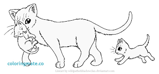 This coloring book includes poses to color for different clan ranks such as: Warrior Cat Coloring Pages Picture Whitesbelfast