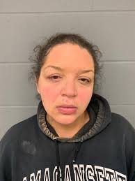 After police standoff, Londonderry woman arraigned for assault with deadly  weapon