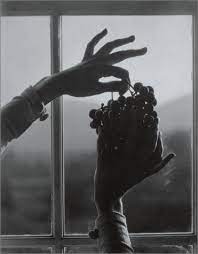 Georgia O Keeffe Hands And Grapes 1921 Alfred Stieglitz Georgia Okeefe Alfred Stieglitz Photography