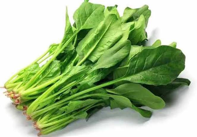 Cải bó xôi RH (túi)