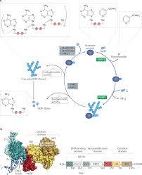 Every day we strive to create a better way to work for the 39 million people we impact around the world. Poly Adp Ribose Polymerase Inhibition Past Present And Future Nature Reviews Drug Discovery