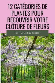 12 Plantes Grimpantes Pour Cloturer Votre Jardin En 2020 Plante Plante Grimpante Plante Grimpante Exterieur