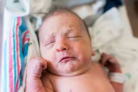 Lauren Lipscomb Photography...