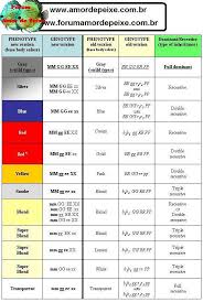 Table Of Guppy Color Genetics Tropical Fish Keeping