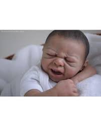 Material Reborn Resultados da busca por: 'pret matte denise gross' Material  Reborn