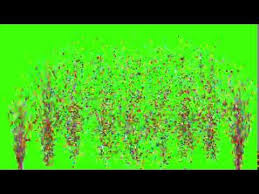 Whether you're looking for free green screen backgrounds vectors, illustrations, icons or seamless patterns, we've got them. Firework Green Screen Effect Youtube Green Screen Footage Green Screen Video Backgrounds Green Background Video