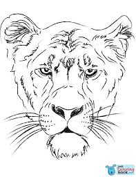 Lioness Head Coloring Page Free Printable Coloring Pages In Lion And Lioness Coloring Pages Printable Free Download Download More Free Printable Hd Images For