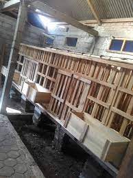 Saat itu saksi sedang memberi makan kambing yang ada di kandang kambing belakang rumahnya. Kandang Kambing Jawa Pe Modern Kandang Kambing Modern Facebook