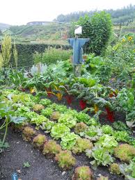 The Eden Project Allotment Demo Garden Garden Styles Garden Planning Garden Design