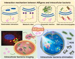 Image result for Intracellular Bacteria