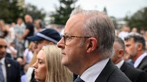 Hollybank, Tasmania: Concerning details in search for Peter Willoughby, 76,  missing in bushland