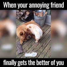 When Your Annoying Friend Gets The Better Of | We All Have A Relentless  Friend 🙄😂 | By Unilad | Facebook
