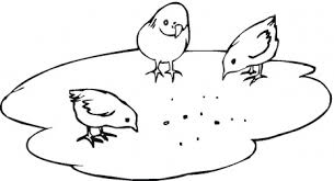 It takes 21 days for a baby chick to hatch out of its egg. Chick Coloring Page 2012 01 07 Coloring Page