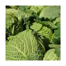 Image result for hlávková kapusta