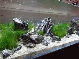 Aquascaper 1800 Crop Lit By Kessil A360we Tuna Sun On Ea Light Hanging Kit Natureaquarium Aquascape Aquarium Fish Aquarium Decorations Aquarium Design