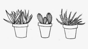 Flowering cactus succulents transparent background png clipart. Drawing Cactus Aesthetic Transparent Png Clipart Free Aesthetic Cactus Black And White Png Download Kindpng