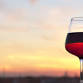 Ohio's Island Wine Festival