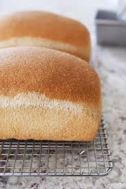 soft and fluffy whole wheat bread