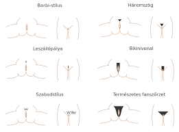 Short hair styles black women. File Pubic Hair Styles Hu Svg Wikimedia Commons