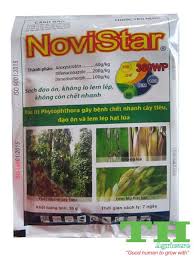 Novistar 360WP