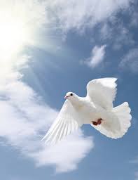 Obituary information for Paul U. Garber