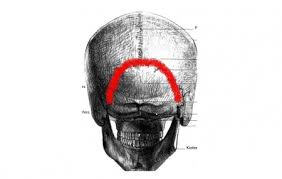 Lista lor începe cu patologiile coloanei vertebrale cervicale și se termină cu boli neurale. Durere De Cap Ingrozitoare
