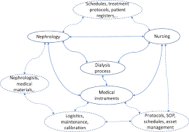 Tangkai bunga tangkai bunga merupakan bagian bunga yang berada pada bagian bawah bunga. A Comparative Risk Assessment Of Dialysis Care Processes In The Home And Hospital Care Contexts Springerlink