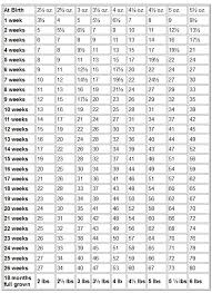 Pomeranian Puppy Size Chart Www Bedowntowndaytona Com