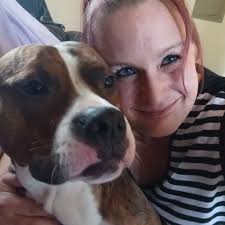 Help for aggressive pit bull with loud barking