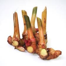 Check spelling or type a new query. Beli Indonesian Set Lot Murah Grosir Indonesian Set Galeri Gambar Di Laos Bubuk Foto Alibaba Com