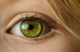 Ganguan mata ini disebut presbiopi atau mata tua. Istimewanya Mata Kita Surabayastory Com