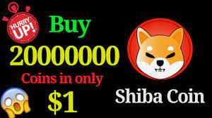 Doge has been a wild ride. How To Buy Shiba Coin On Hotbit Deposit And Withdrawal Of Bitcoin And Usdt On Hotbit Youtube