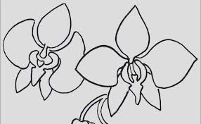 17 Contoh Sketsa Gambar Bunga Sakura Gambar Mewarnai Bunga Kreasi Warna Download Sketsa Bunga Bunga Matahari Teratai Mawar Sakur Di 2020 Bunga Sakura Bunga Sketsa
