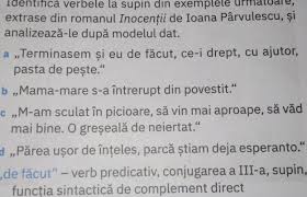 Get your team aligned with. IdentificÄƒ Verbele La Supin De Exemplele UrmÄƒtoare Extrase Din Romanul Inocentii De Ioana Parvulescu Brainly Ro