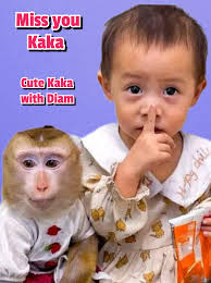 A lonely life and scarce food force Monkey Kaka to survive. #kaka  #kakamonkey #kakamissdad